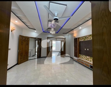 Brand New Luxury Ground Portion For Rent G-13