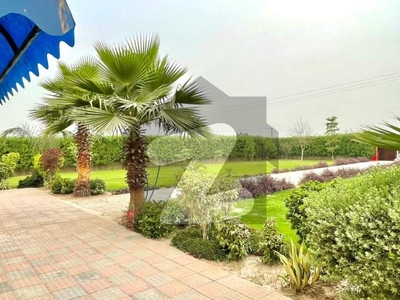 corner farmhouse land for sale on hot loction of bedian road next to DHA phase 7 Thethar