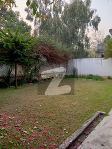 E7 500 Sq.Yd Double Storey House 4 Bed Available For Rent E-7