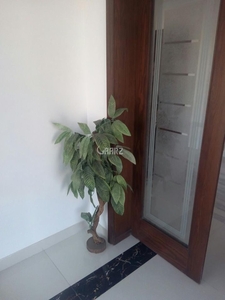 10 Marla Basement for Rent in Lahore DHA Phase-8