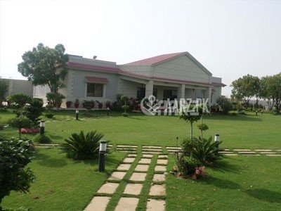 2 Kanal House for Rent in Karachi Rahat Commercial Area, DHA Phase-6