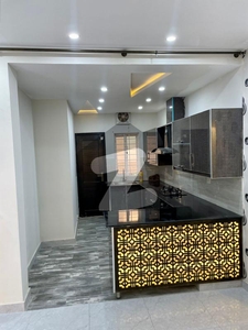 5 Marla Brand New Lavish House For Rent Phase 8 Bahria Town Rawalpindi Bahria Town Phase 8 Ali Block