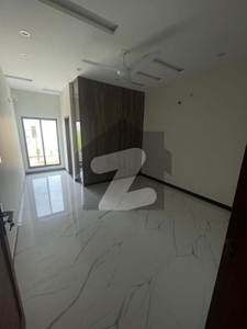 5 Marla Double Storey House Is Up For Rent Pak Arab Housing Society