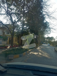 800 Yards Beautiful Margalla Hill Facing House In The Most Beautiful Sector Of Islamabad E-7