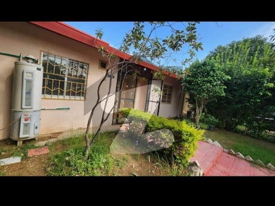 Awami Villas 1 Single Storey House Available For Rent Bahria Town Phase 8 Awami Villas 1