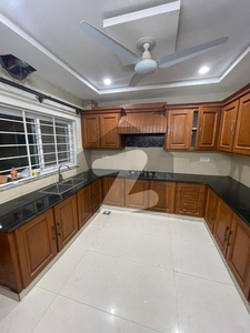 14 Marla Beautiful Basement Portion Available For Rent D-12