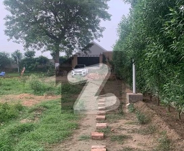5 Kanal Farm House In Only Rs. 16700000 Bedian