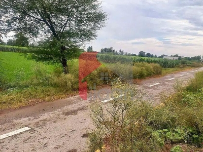 1 Kanal Agicultural Land for Sale on Bedian Road, Lahore