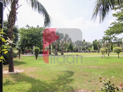 1 Kanal Plot for Sale in Block D, Phase 1, Sui Gas Society, Lahore