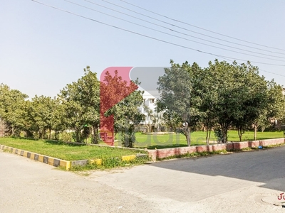 1 Kanal Plot for Sale in Nespak Housing Scheme, Lahore