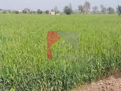28 Kanal Agicultural Land for Sale on Bedian Road, Lahore