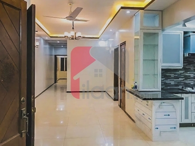 300 Sq.yd House for Rent (Ground Floor) in PECHS, Karachi