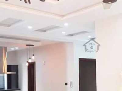 Spacious 5 Beds House For Rent In F-8 Islamabad