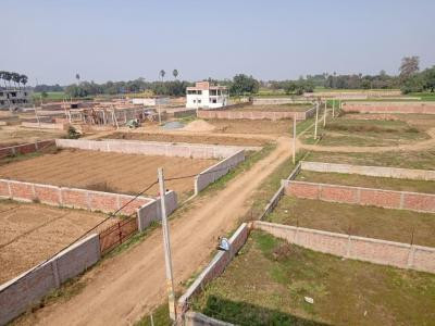 1 Kanal Plot For Sale In Inmol Employees Society