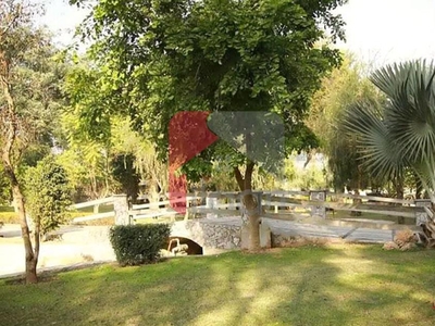 17 Kanal Farm House for Sale in Lakhoki, Bedian Road, Lahore