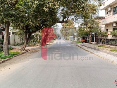 8 Marla House for Rent (First Floor) in Faisal Town, Lahore