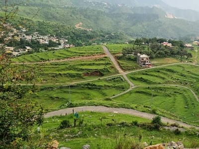 1 Kanal Plot For Sale In Sector D Township Abbottabad