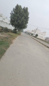 136 canal commercial plot on TP LINK HEAD MUHAMMAD WALA MAIN ROAD