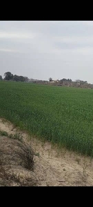 40 KANAL commercial and agriculture MAIM ROAD FRONT FROM MULTAN 50 KM