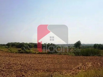 7 Kanal Agricultural Land for Sale on Bedian Road, Lahore