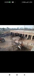 dairy farm poultry farm for rent Cantt
