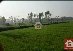 Plot/Land Property For Sale in Layyah