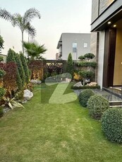 1 Kanal Full House Available For Rent In DHA Phase 7 Lahore DHA Phase 7 Block Y