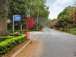 1 Kanal 8 Marla House for Rent in E-7, Islamabad