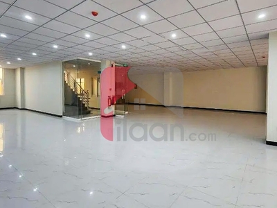 3.1 Kanal Building for Rent in G-8, Islamabad
