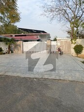 f10 single storey for rent F-10