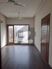 Luxurious 100 Yards Bungalow For Rent DHA Phase 8