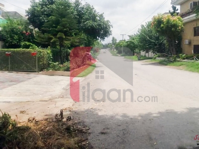 12.4 Marla Plot for Sale in I-8/4, Islamabad