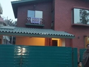 24 Marla House for Rent in Karachi DHA Phase-7