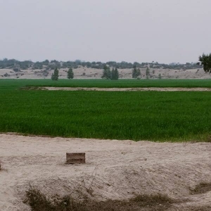224 kanal agriculture land from Multan 35 KM