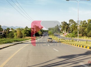 4 Kanal Plot for Sale in F-11, Islamabad