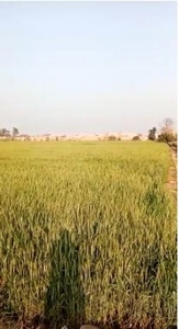 Plot/Land Property For Sale in Bahawalnagar