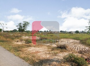 1 Kanal Pair Plots (Plot no 482+482/1) for Sale in Block P, Phase 7, DHA Lahore