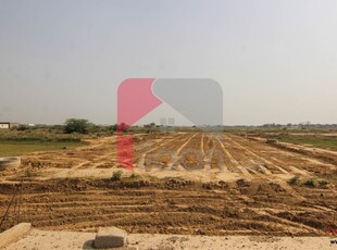 1 Kanal Pair Plots (Plot no 812+813) for Sale in Block M, Phase 9 - Prism, DHA Lahore