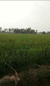 12.5 Acre Commercial Land For Sale In Tahsil Liaqatpur Chak 21 Rahimyar Khan