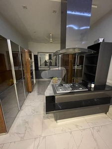 1 Kanal Lower Portion With Separate Entrance Available For Rent In DHA Phase 5 DHA Phase 5
