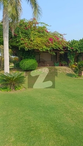 DHA 10 farmhouse for sale Bedian Road