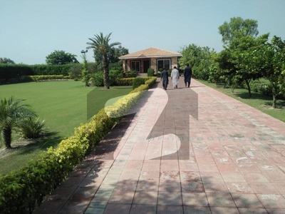 DHA Greens farmhouse for Sale Bedian Road