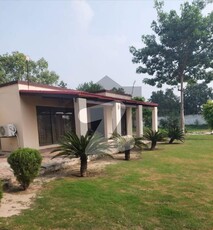8 Kanal Luxury Farm House For Rent On Bedian Road Lahore Bedian Road