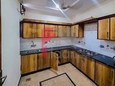 10 Marla House for Rent (First Floor) in F-17, Islamabad