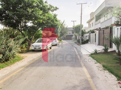 15 Marla Plot for Sale in P & D Housing Society, Lahore