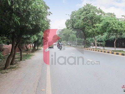 2.6 Marla Plot for Sale in Ghani Colony, Wahdat Road, Lahore