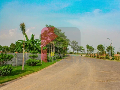 4 Kanal Farmhouse Plot for Sale in Orchard Greenz Luxury Farm House Society, Lahore