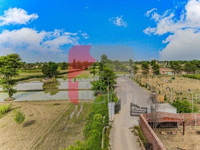 8 Kanal Farmhouse Plot for Sale in Orchard Greenz Luxury Farm House Society, Lahore