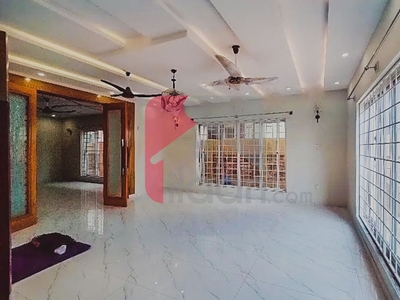 1 Kanal House for Rent (Ground Floor) in Phase 7, Bahria Town, Rawalpind