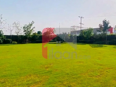 7 Kanal 2 Marla Agricultural Land for Sale in Thethar, Lahore
